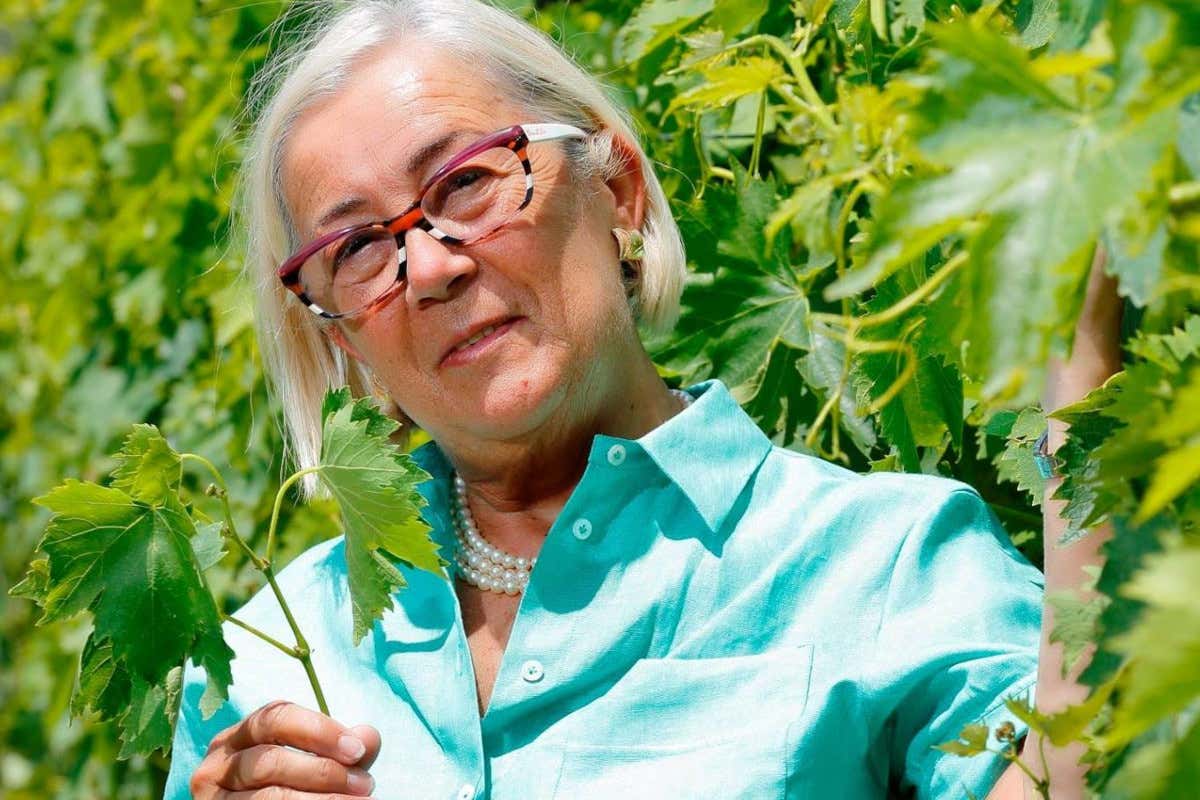 Donatella Cinelli Colombini “Saranno Famosi nel Vino”: il primo talent per etichette emergenti