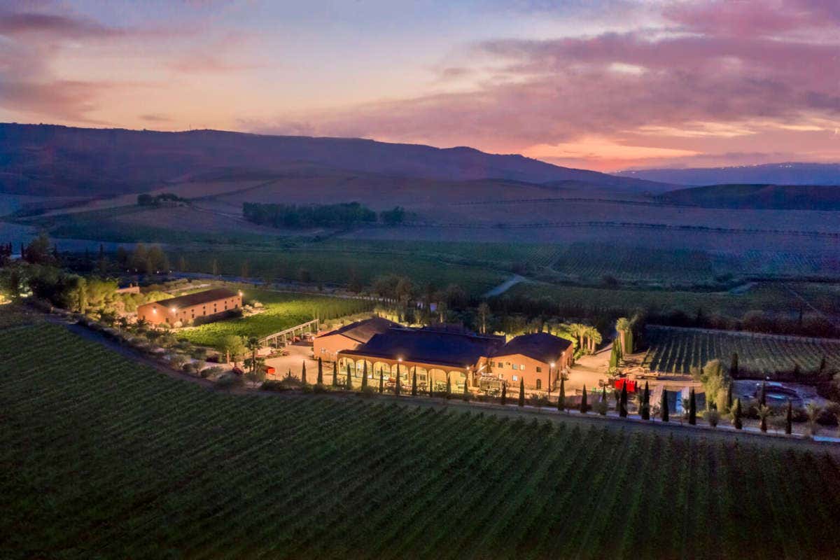 L'anima del territorio siciliano nei vini di Donnafugata L'anima del territorio siciliano nei vini di Donnafugata