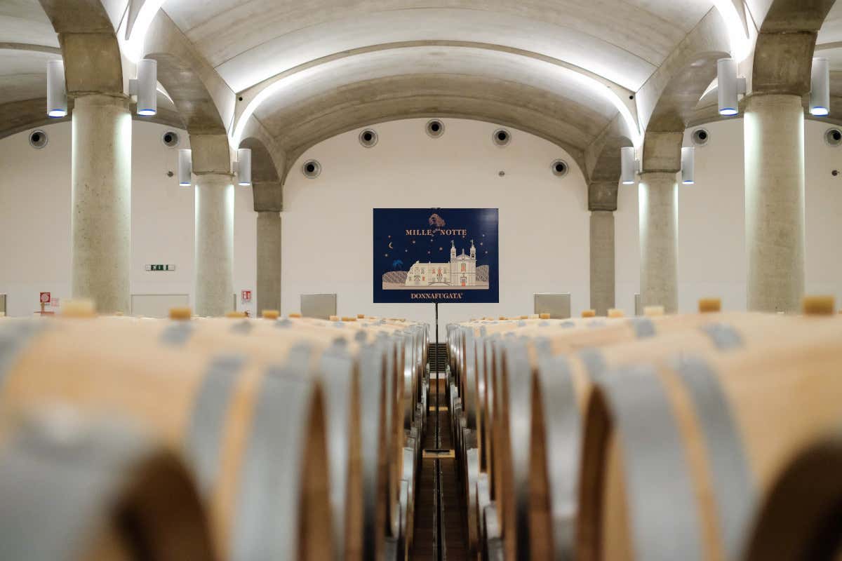 Donnafugata a Marsala Alla scoperta di Donnafugata paradiso dell'enoturismo Donnafugata a Marsala Alla scoperta di Donnafugata paradiso dell'enoturismo