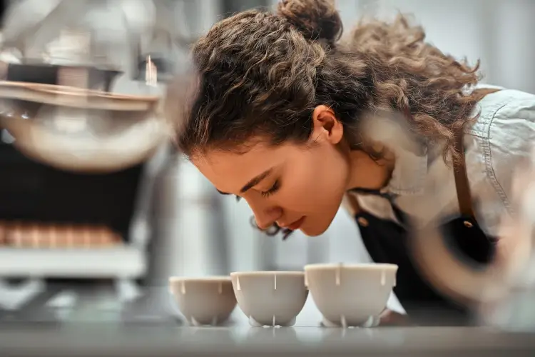 International Coffee Tasting, 52 le medaglie d'oro