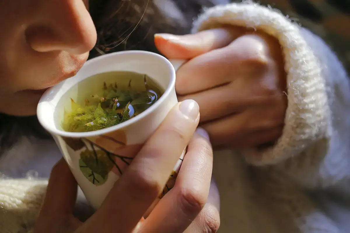 Una tisana per una notte serena Per un sonno tranquillo non basta evitare caff&egrave; e cioccolato
