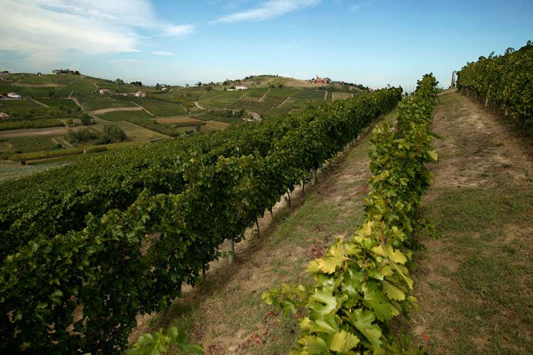 (Drink Beauty Gancia punta sulla bellezza del bere)