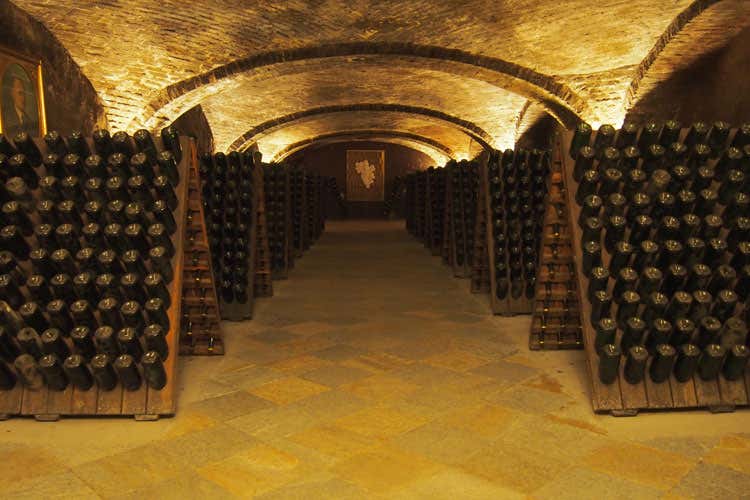 (Drink Beauty Gancia punta sulla bellezza del bere)