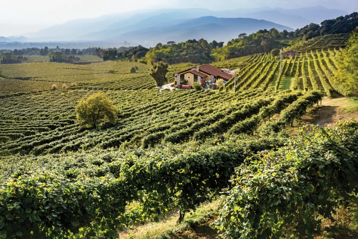 Drusian partner della Centomiglia tra le Colline del Prosecco