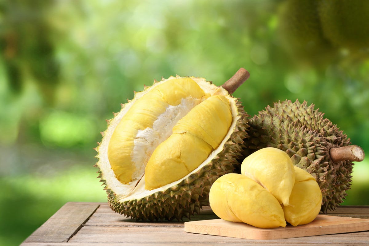 Durian, tutto quello che c'è da sapere sul frutto più puzzolente del mondo