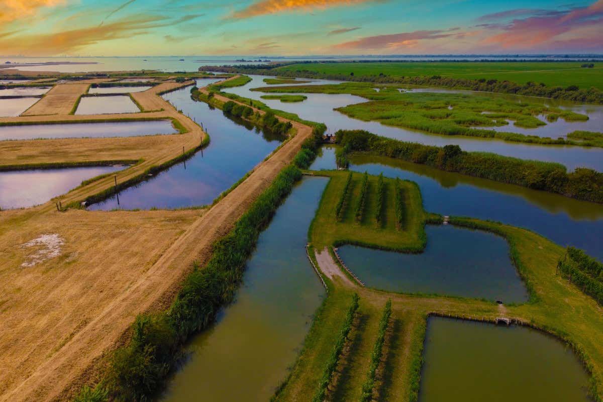 Veduta aerea dell'azienda di Fausto Ghenda Easy Fish: il pesce dell'Alto Adriatico ha conquistato tutti i palati