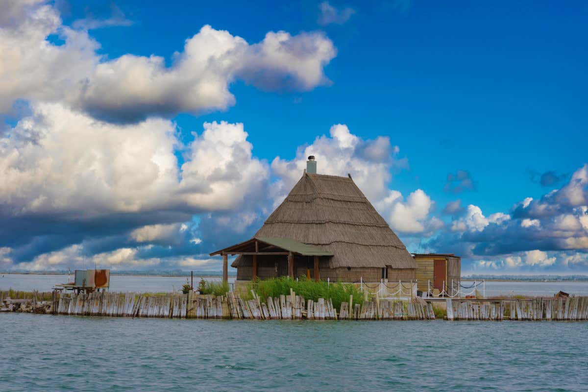 Easy Fish: il pesce dell'Alto Adriatico ha conquistato tutti i palati