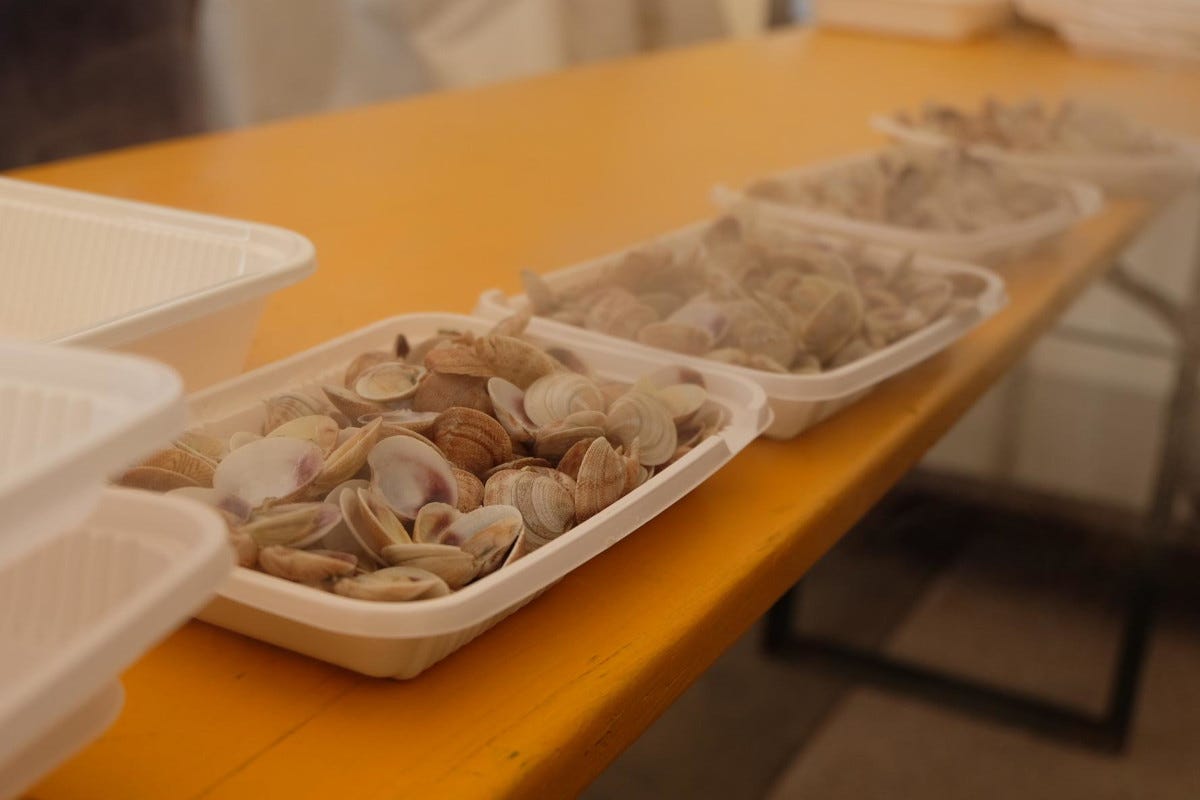 Piatti di molluschi Easy Fish: il pesce dell'Alto Adriatico ha conquistato tutti i palati