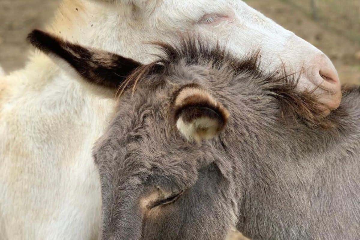 Firenze da bere, tre location insolite dove degustare un drink o un calice