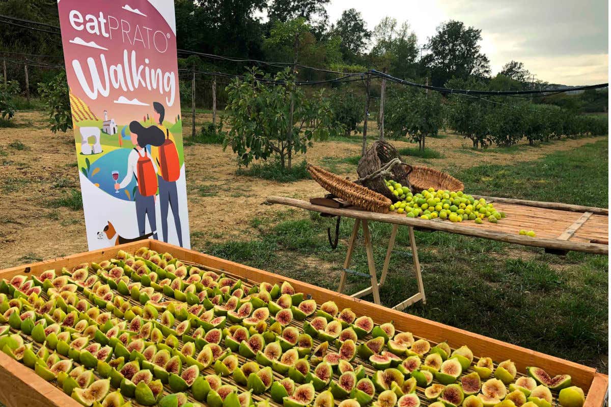 eatPrato Walking è il brioso ed articolato evento che stimola il desiderio di stare all'aria aperta Nuova formula per eatPrato Walking: ora gli appuntamenti sono da ottobre a gennaio