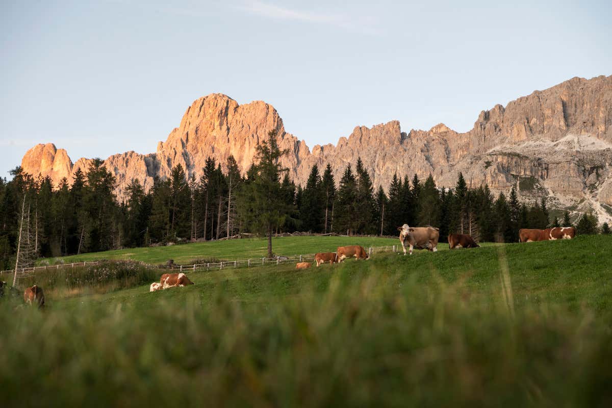 Estate 2024 in montagna? Ecco cosa puoi fare in 7 giorni in Val d'Ega