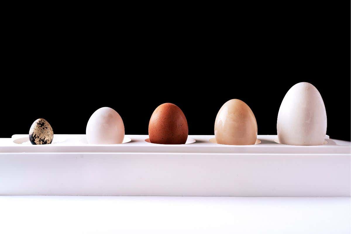 Eggs bissa, da Roma a Milano. Chef Agosti: «Ecco le novità pensate per l'occasione»