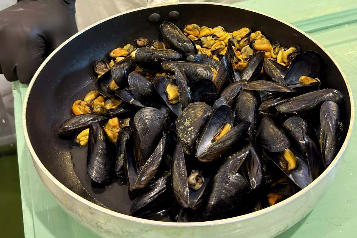 La cucina del futuro arriva a Taranto con Ego Food Fest 2026 La cucina del futuro arriva a Taranto con Ego Food Fest 2026