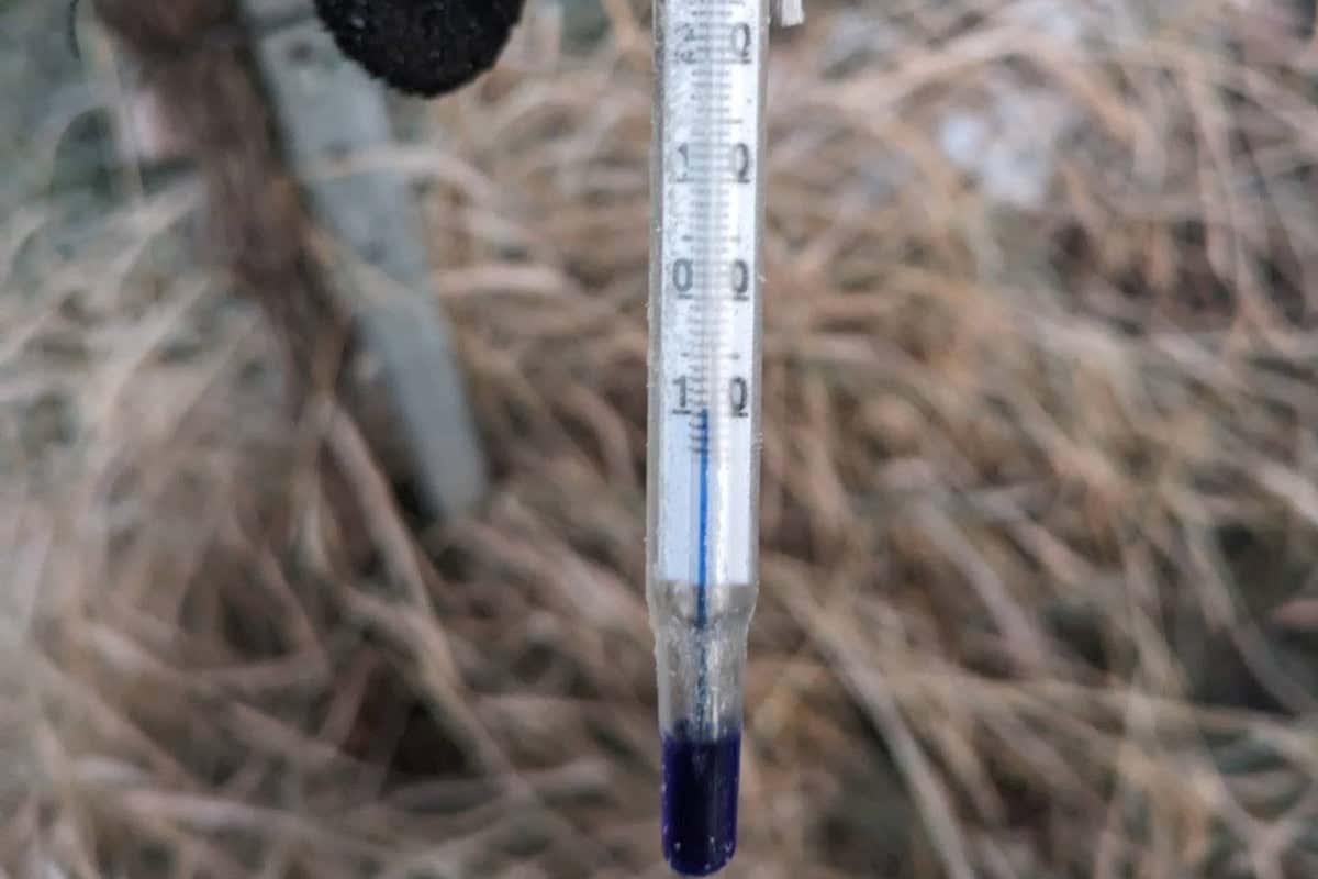 Eiswein, cala ancora la produzione: «In Germania fa troppo caldo»