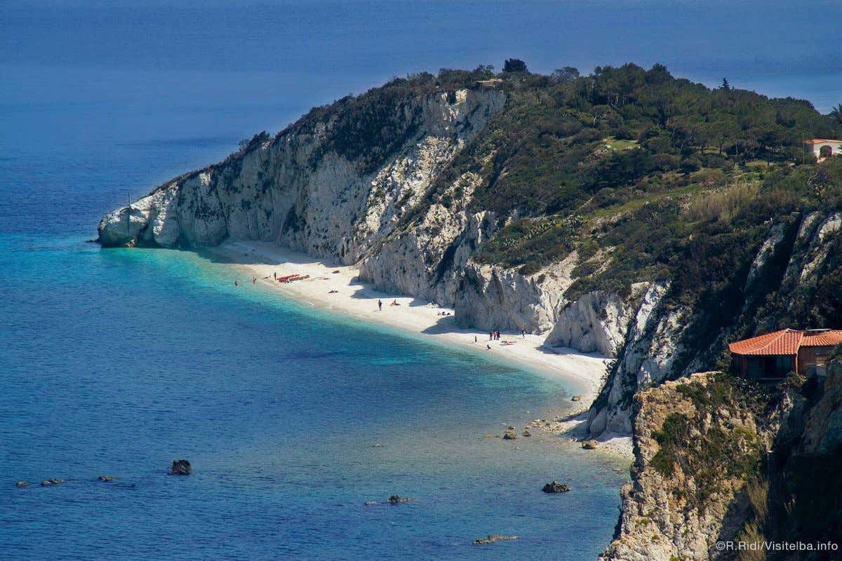 Dieci esperienze imperdibili sull’Isola d’Elba tra immersioni, balene e miniere