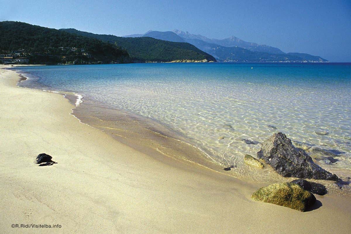 Dieci esperienze imperdibili sull’Isola d’Elba tra immersioni, balene e miniere