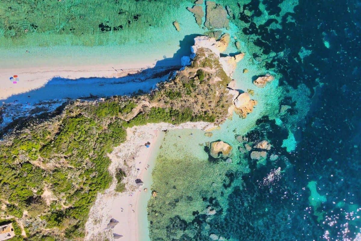 Dieci esperienze imperdibili sull’Isola d’Elba tra immersioni, balene e miniere