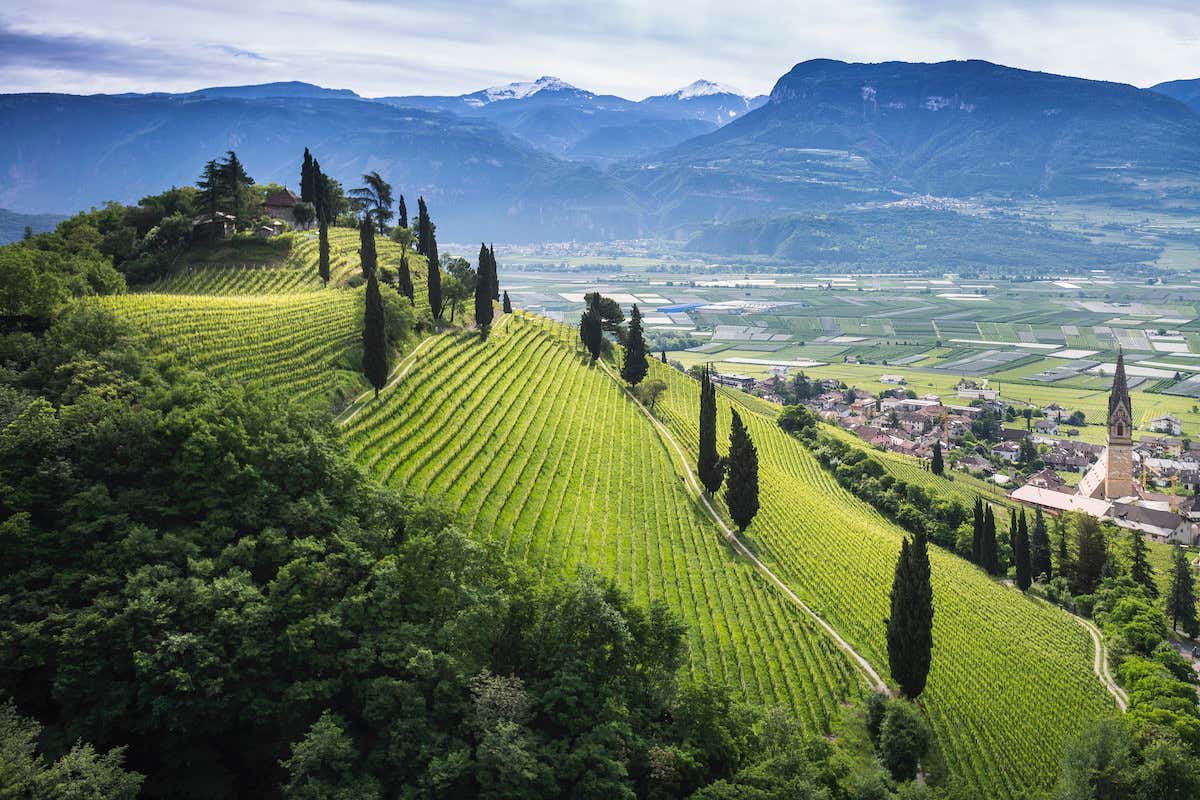 I vini di Elena Walch in rassegna a Milano nel ristorante “Aalto”