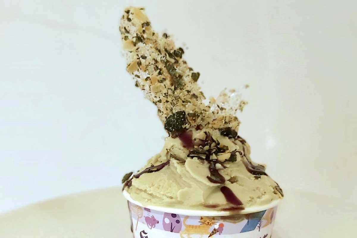 Gioia Verde A Bologna si decide il gusto di gelato migliore al mondo, 33 quelli in gara