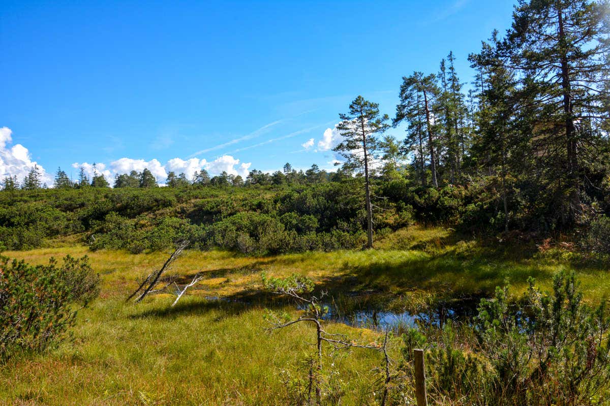 Wilder Kaiser, una vacanza tra natura e sostenibilità in Tirolo