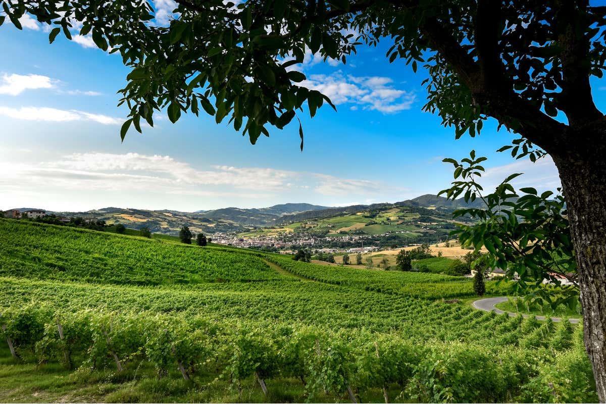 L'Emilia è la terra dei record con Piacenza, Parma e Reggio