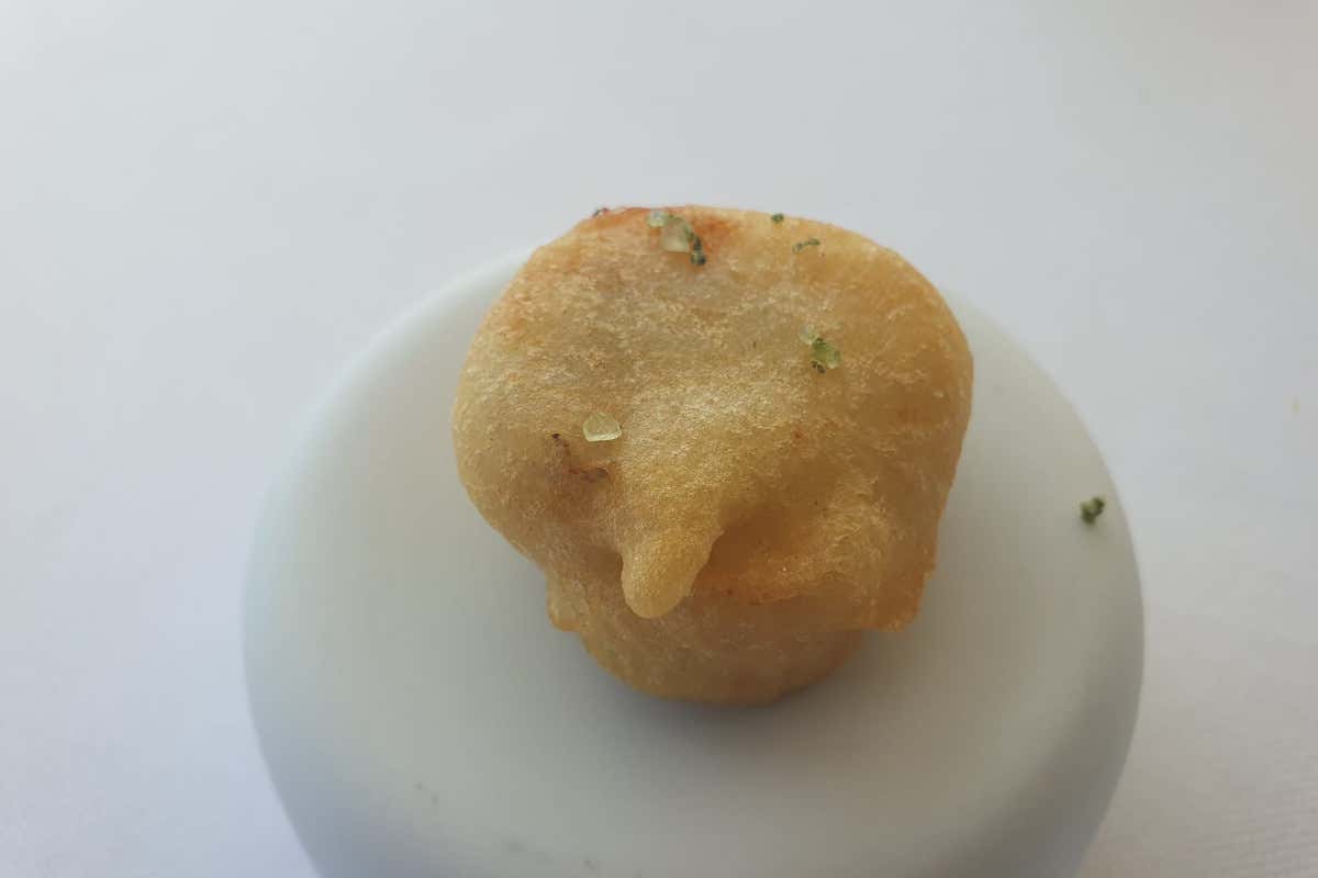 A Civitanova Marche una ristorazione dove il tartufo sposa il miglior pescato del Mare Adriatico