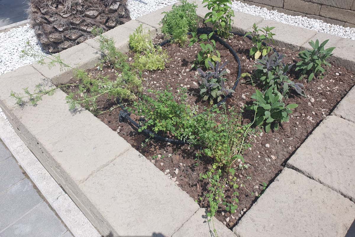 A Civitanova Marche una ristorazione dove il tartufo sposa il miglior pescato del Mare Adriatico