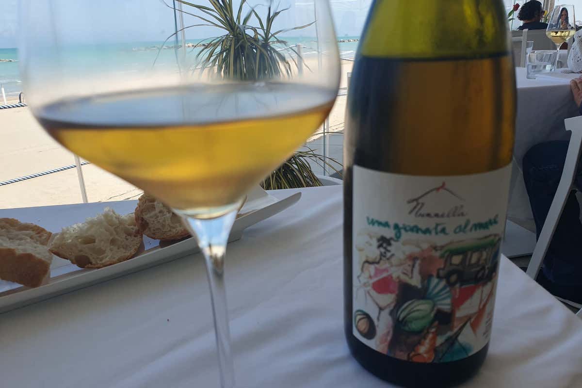 A Civitanova Marche una ristorazione dove il tartufo sposa il miglior pescato del Mare Adriatico