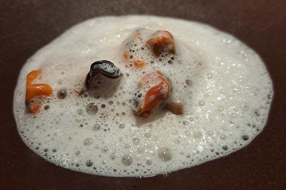 Terrina di orecchie di maiale e cozze