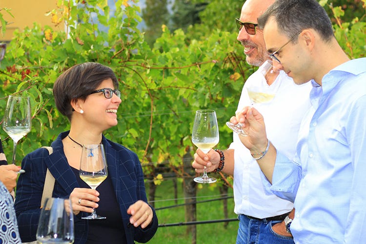 Gli Endrici hanno festeggiato il ventesimo anno di viticoltura in Toscana (Endrici, dal Trentino alla Toscana 20 anni di vini maremmani)