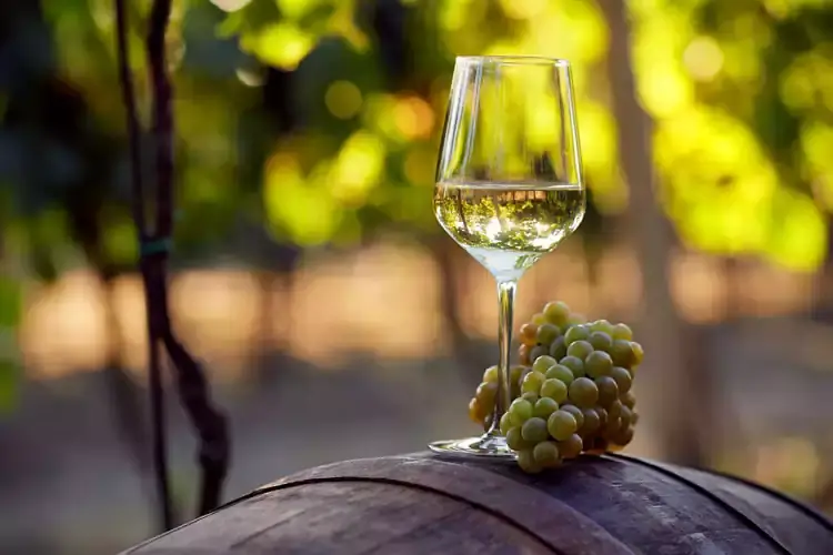 La wine hospitality come propulsore di sviluppo &ldquo;Turismo del vino in Italia. Storia, normativa e buone pratiche&rdquo;