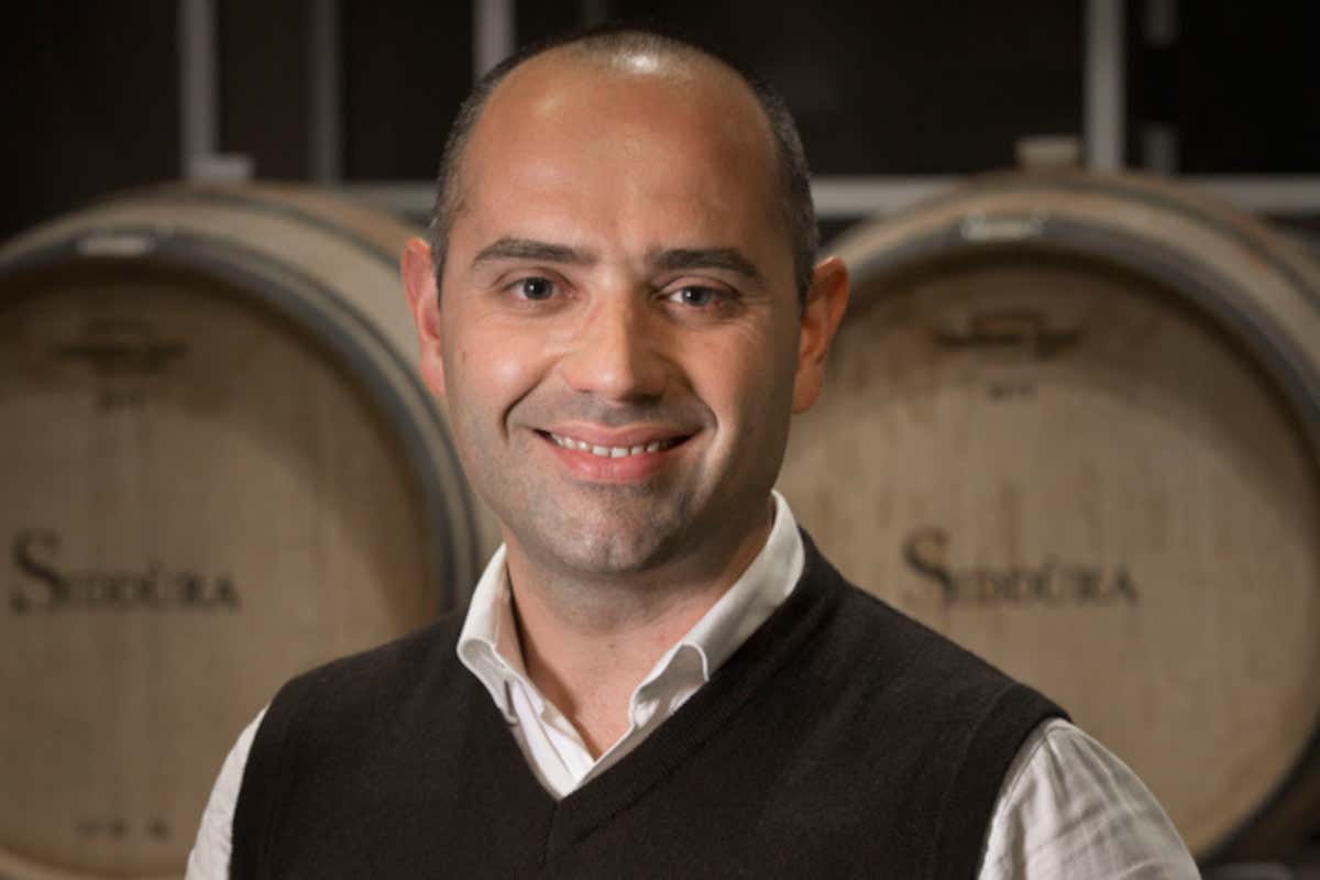 L'Enologo Dino Dini Dalle cantine di Luogosanto ecco &Egrave;stru, il nuovo Carignano di Siddura