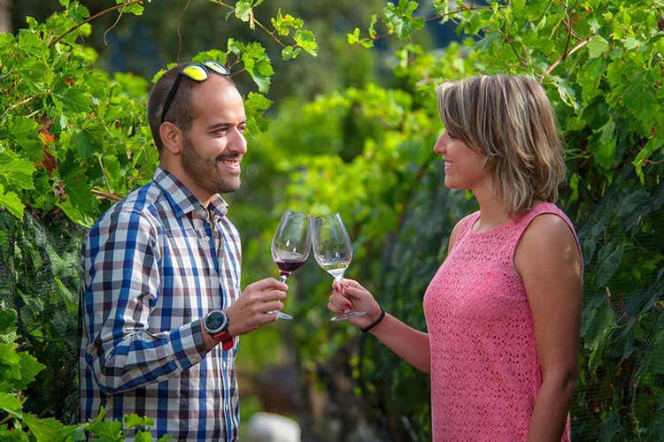 Gli enoturisti tra le vigne vogliono conoscere ed emozionarsi - Enoturisti a caccia di emozioni In cantina lezioni di storia e cucina