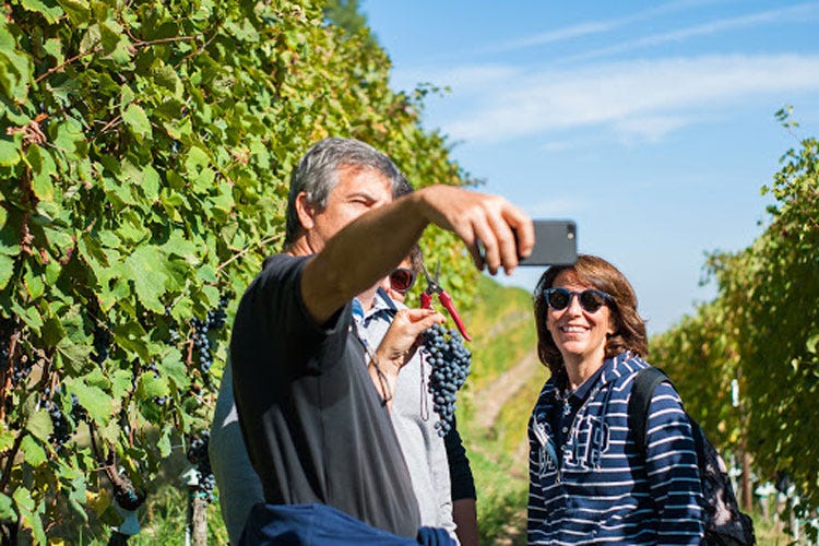 Cresce il numero degli appassionati di vino - Più visitatori in vigna che in città Così il vino dà una mano al turismo