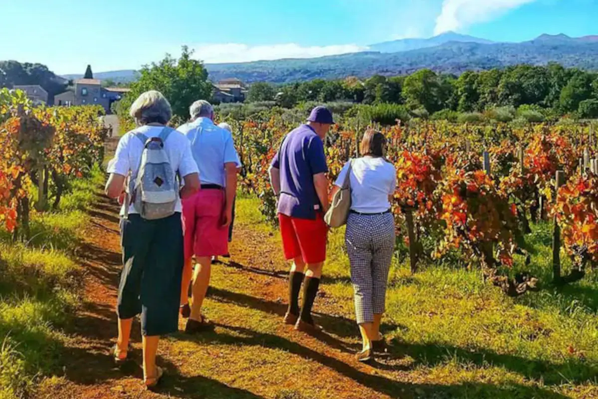 Scoprire la Sicilia attraverso il vino Winery Tasting Sicily una startup per l&rsquo;enoturismo in Sicilia