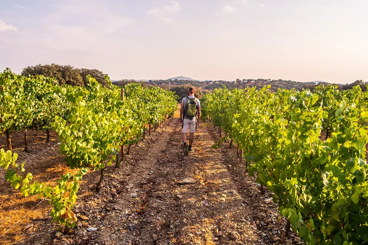 Al via la 46&deg; edizione di A Hospitality-Il Salone dell&rsquo;Accoglienza che dar&agrave; ampio spazio al pianeta enoturismo L&rsquo;italiano sempre pi&ugrave; enoturista! Se ne accorgono anche le fiere di settore