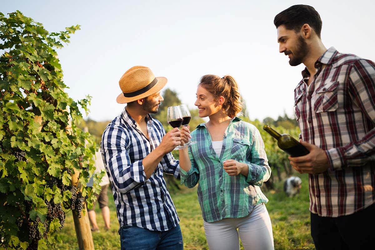 L’Italia è la meta più ambita per i winelover Enoturismo, per il salto di qualità puntare sulla formazione degli operatori L’Italia è la meta più ambita per i winelover Enoturismo, per il salto di qualità puntare sulla formazione degli operatori