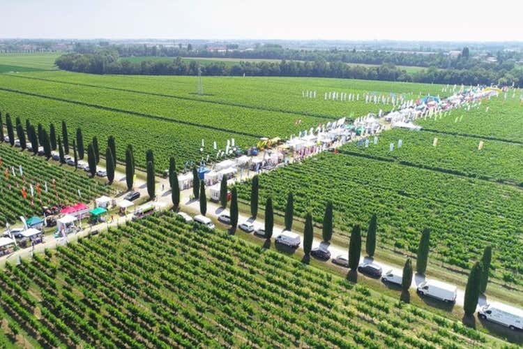 Enovitis da record: 7mila partecipanti e 171 espositori Enovitis da record: 7mila partecipanti e 171 espositori