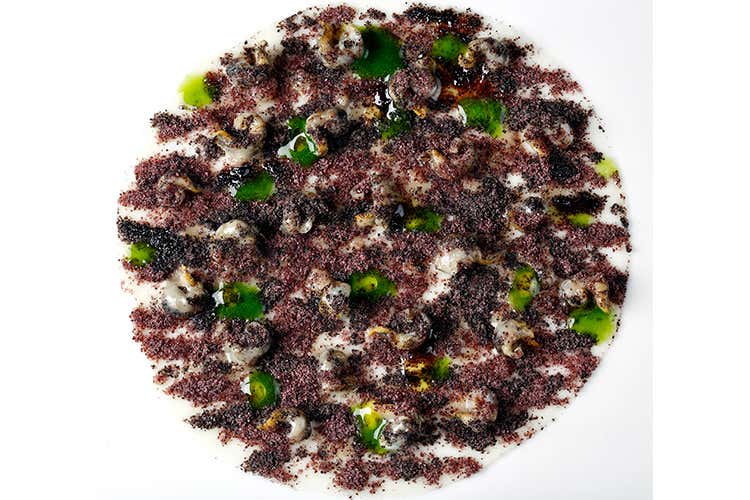 La cucina di Enrico Croatti Di tradizione, ma non tradizionale