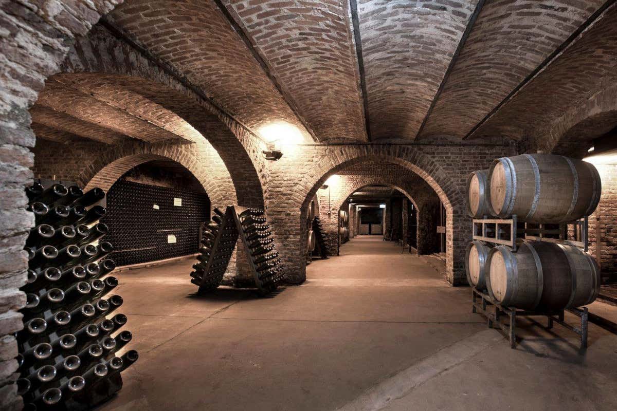 Resistente e popolare: Oltrepò e Alta Langa scoprono il Pinot Meunier