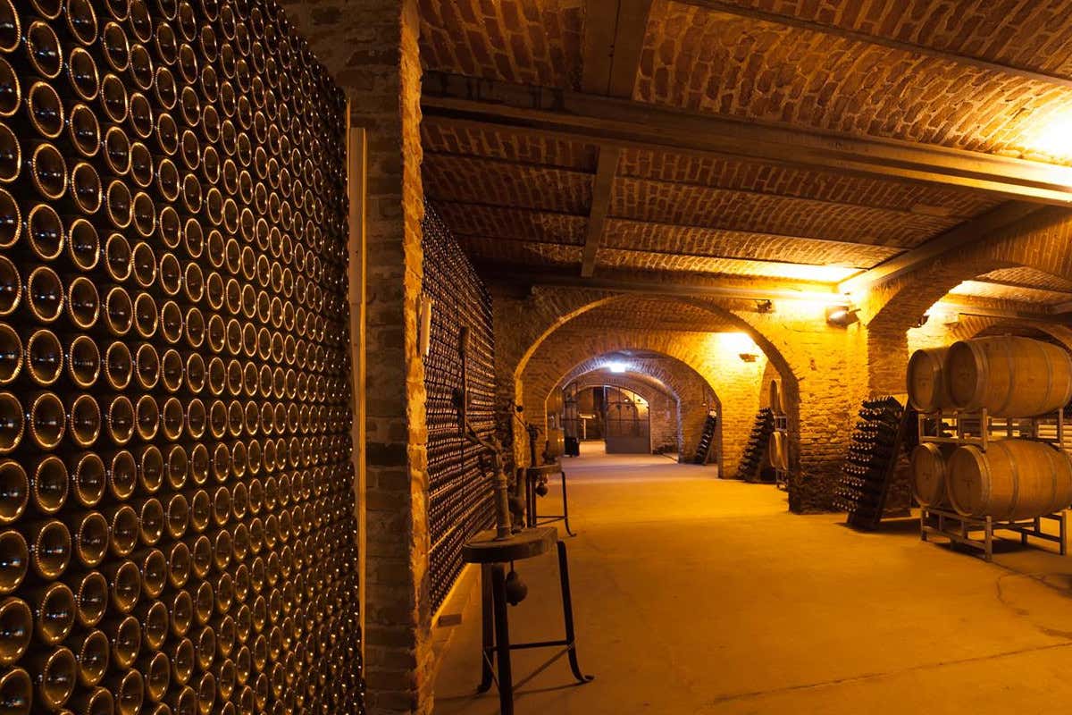 Resistente e popolare: Oltrepò e Alta Langa scoprono il Pinot Meunier