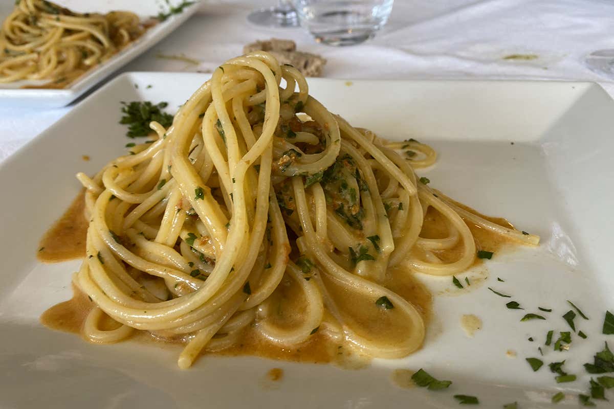 Pasta ai ricci di mare