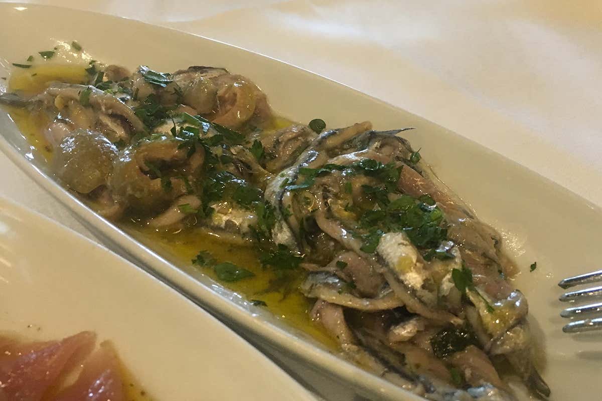 Insalata di alici, olive in salamoia e prezzemolo