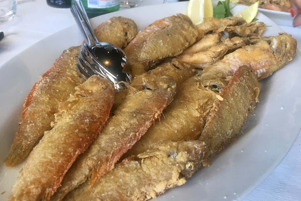 La frittura di “surici”