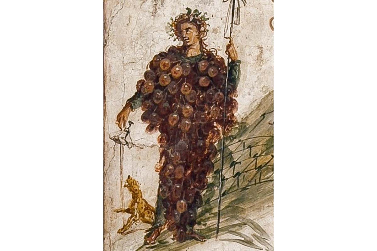 Vini alchemici sull’Etna: il viaggio sensoriale di Stanza Terrena