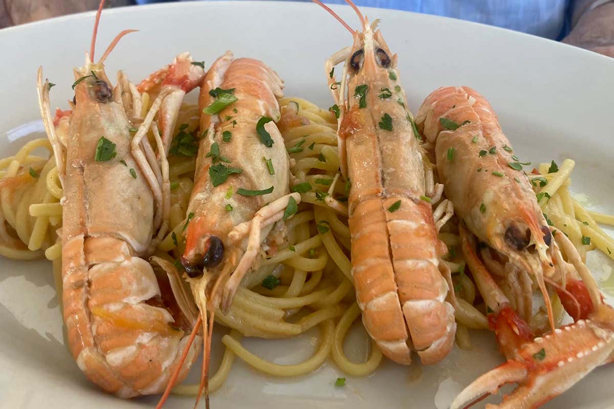 Sautè di scampi