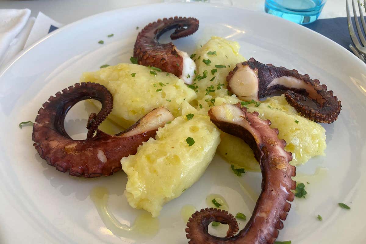 Polpo “rosticciato” su nuvola di patate