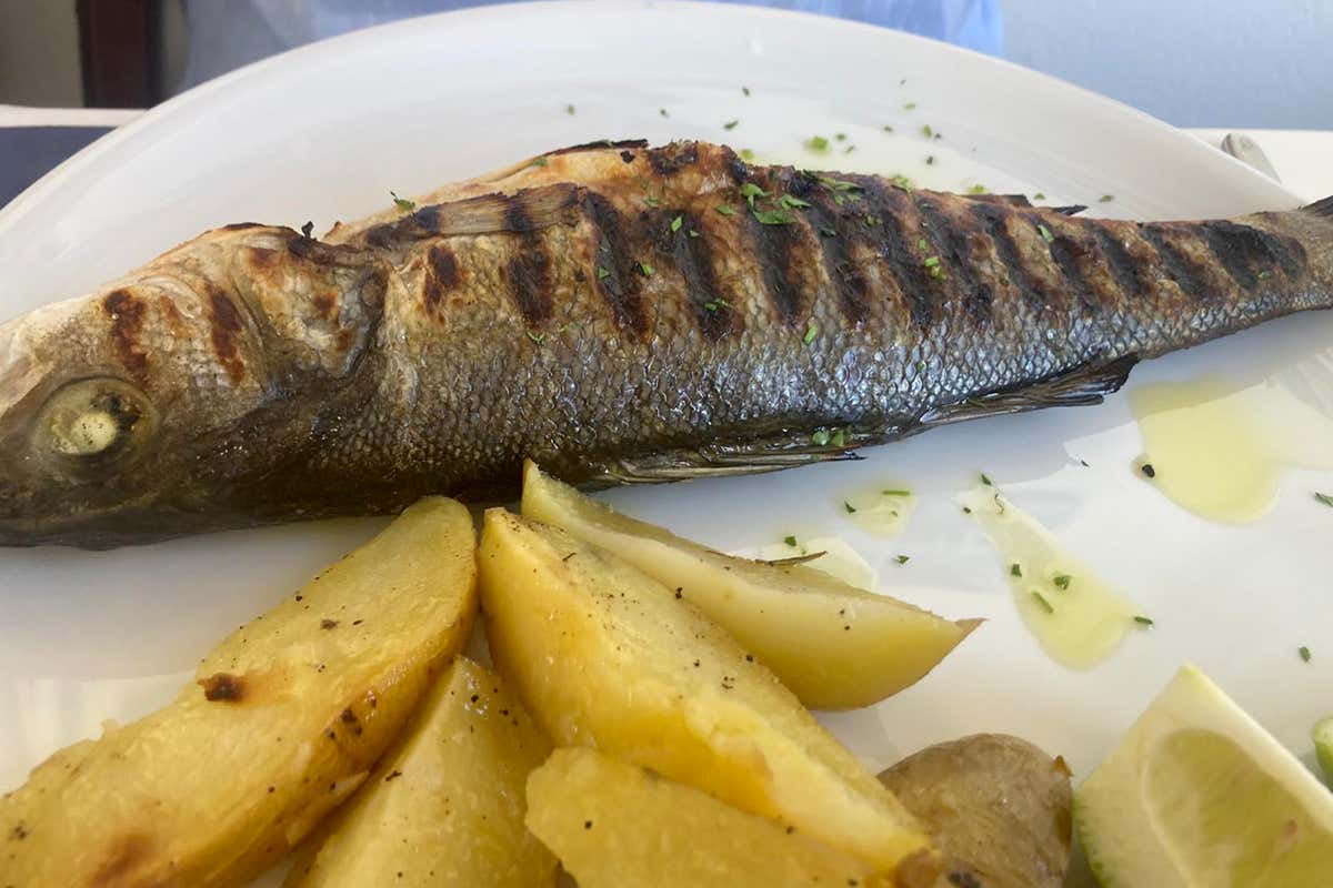 Pesce del giorno alla griglia (spigola)