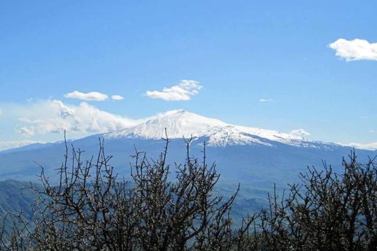 Vini alchemici sull’Etna: il viaggio sensoriale di Stanza Terrena