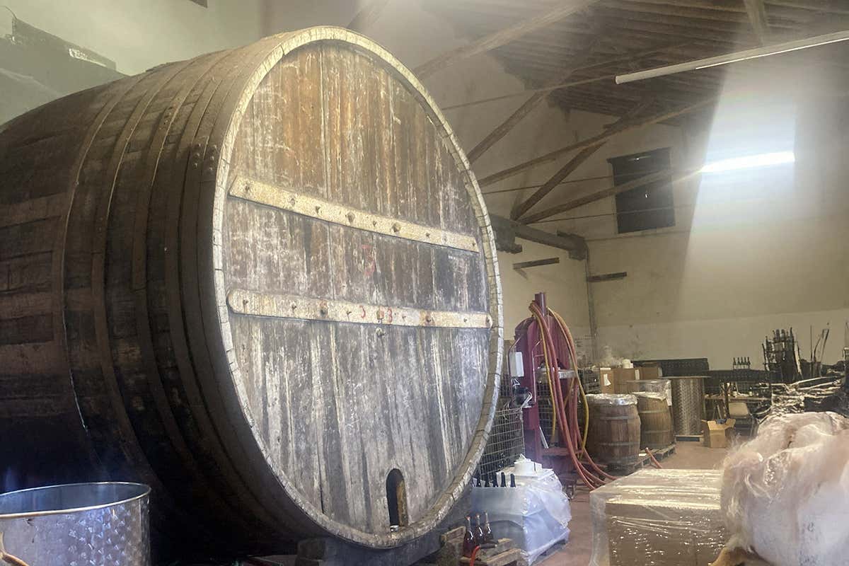 Vini alchemici sull’Etna: il viaggio sensoriale di Stanza Terrena